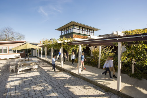 Pine Point School - Visual