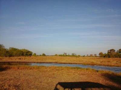 Photos of Linyanti Bush Camp