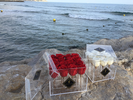 Forever Fleurs - Visual