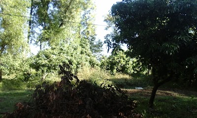 Photos of Shafi Dairy Farm