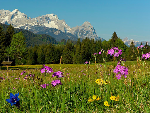 BerglustPur - Ferienwohnungen in Krün - Wallgau - Thumbnail