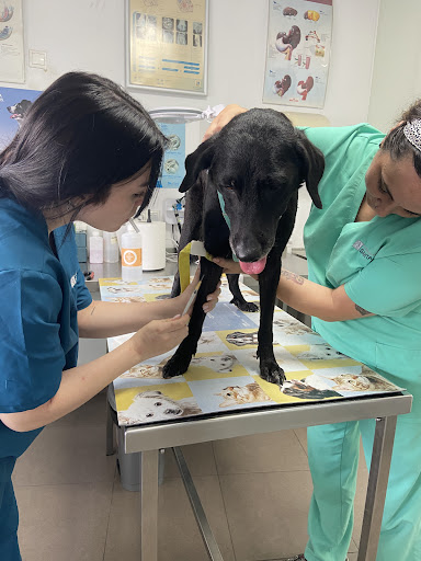 Clínica Veterinaria Santa Faz