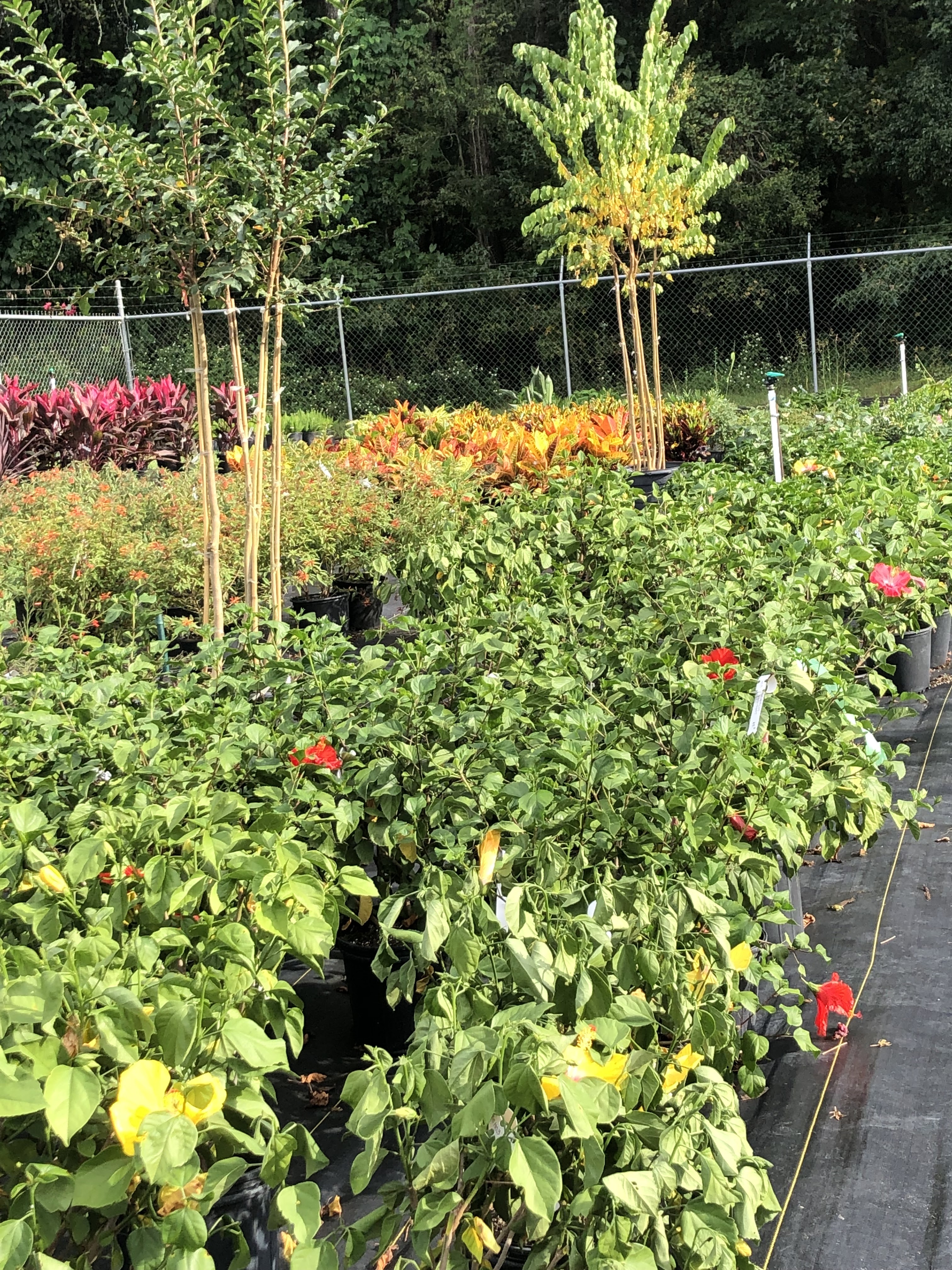 The Garden Spot of the Sunshine State
