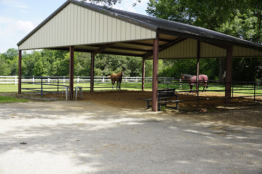 Athens Equine - Todd K. Laughrey DVM, PC - Thumbnail
