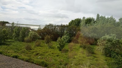 Photos of Deildartunguhver