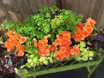 Photos of Paulette's Potting Shed