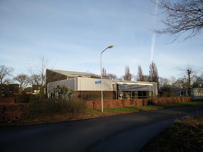 veterinary-care