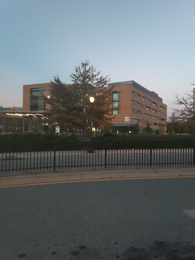 Biomedical Sciences and Engineering - Visual