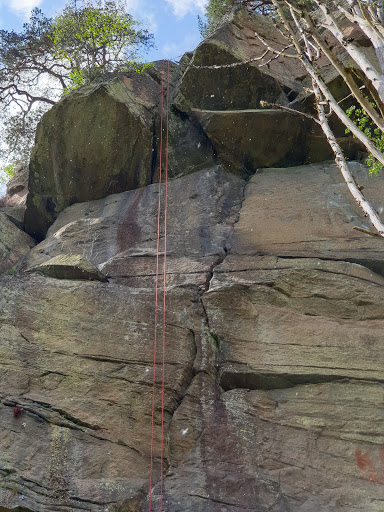 Alingsås Hundkapplöpning - Thumbnail