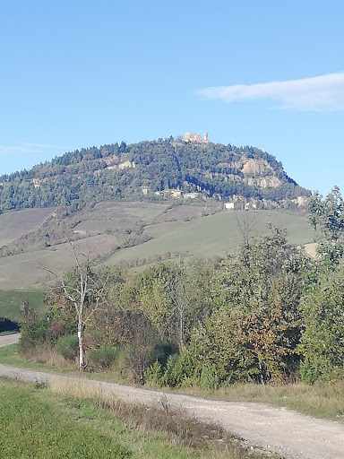 Sabbioni - Visual