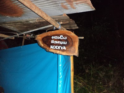 Photos of Kodiya Shop