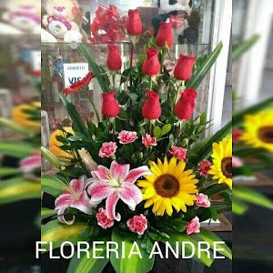 FLORERÍA André 9