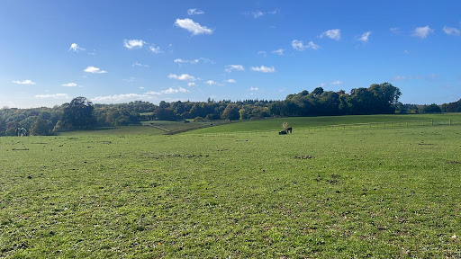 Herons Farm - Visual
