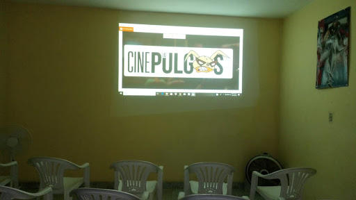 Cine las pulgas Gallery - Mexico