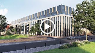 Iguana Developments