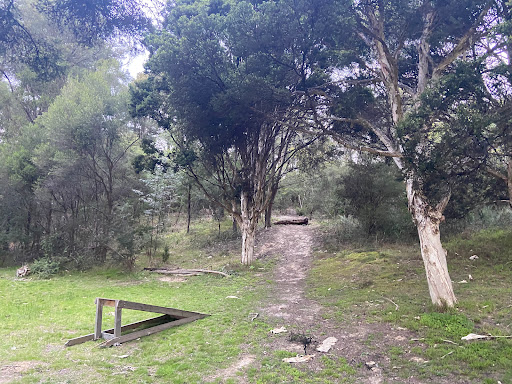 Dirlton Reserve Dog Off Leash Area - Thumbnail