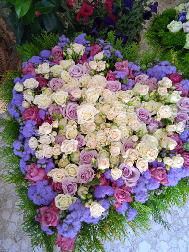 FLOS-FIORI,Piante & Oggettistica - Thumbnail