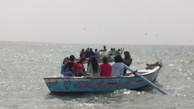 Photos of Wadi El Rayan