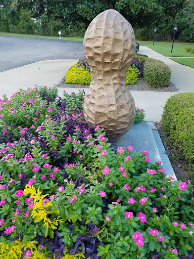 Visit Dothan - Visual