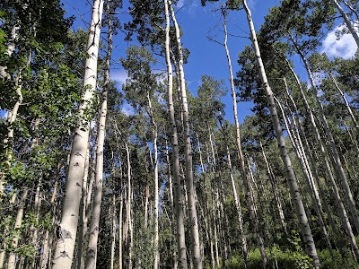 Fulford Cave Campground