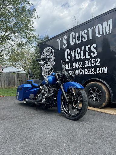 TS Custom Cycles - Thumbnail