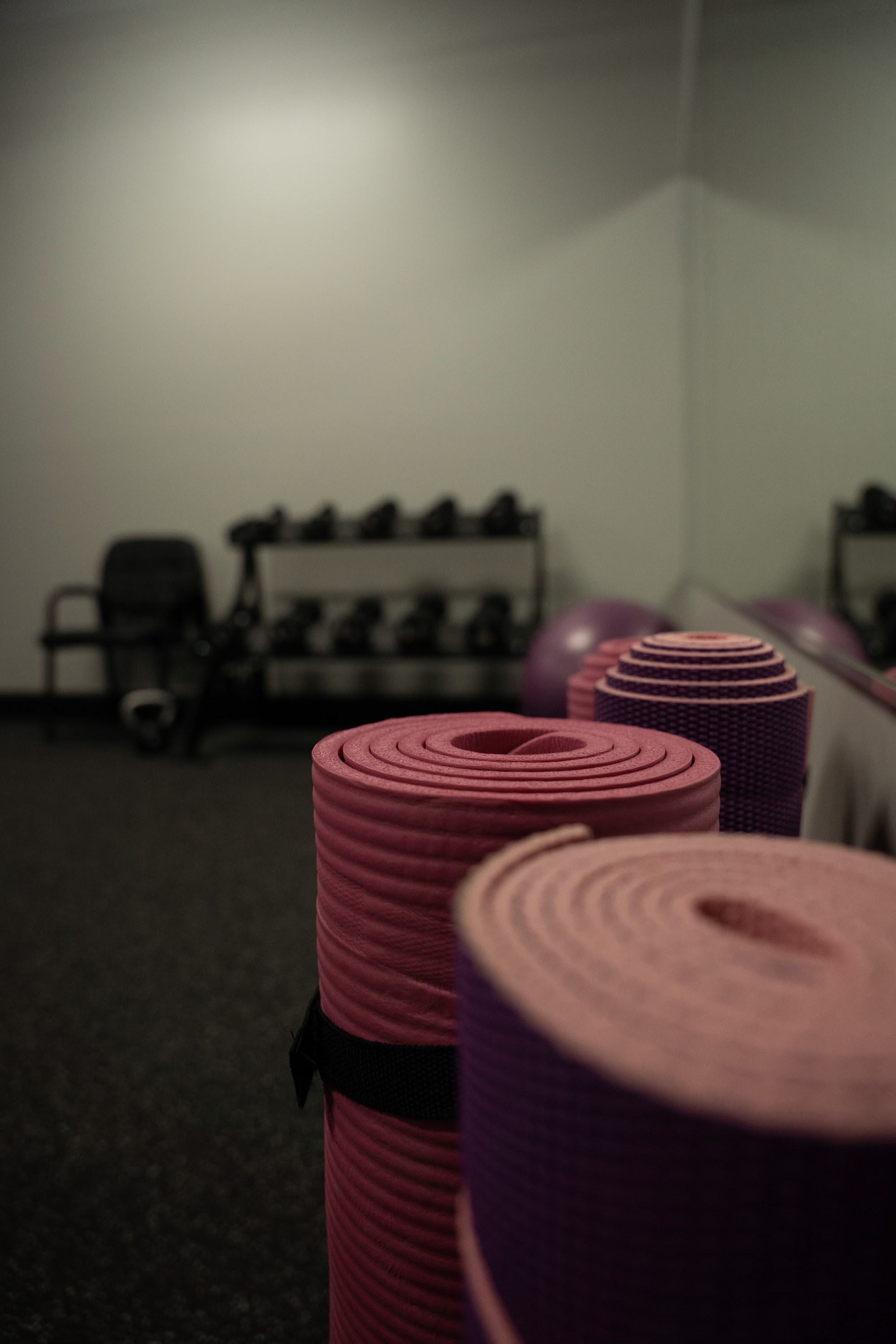 Elite Fitness photo 7