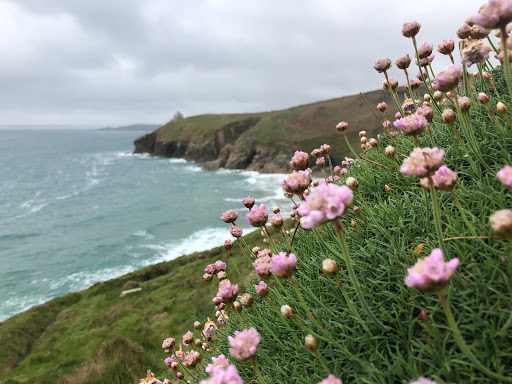 Wheal Prosper Tin Mine - Thumbnail
