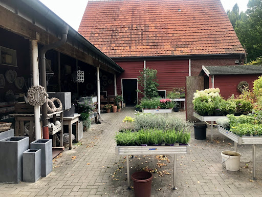 Lösings Gartenflora - Thumbnail