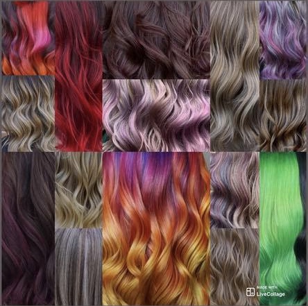 The Color Palette By Gin