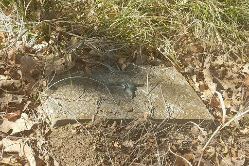 Corn Cemetery - Visual