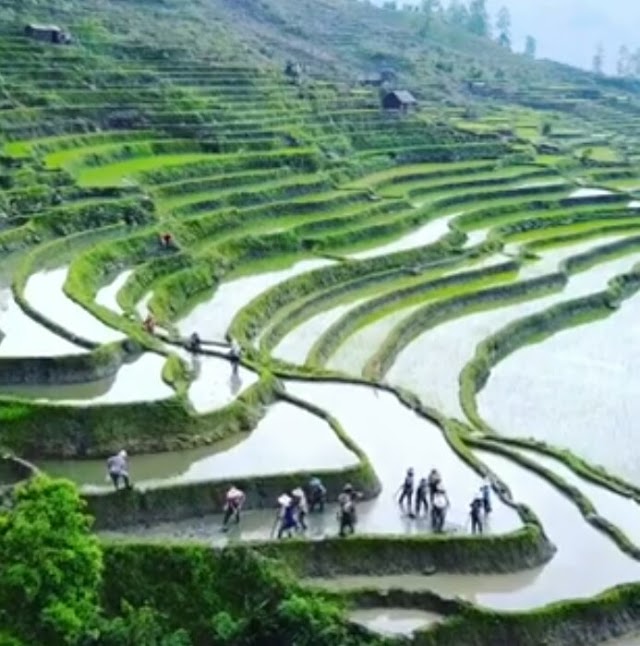 Xian de Yuanyang