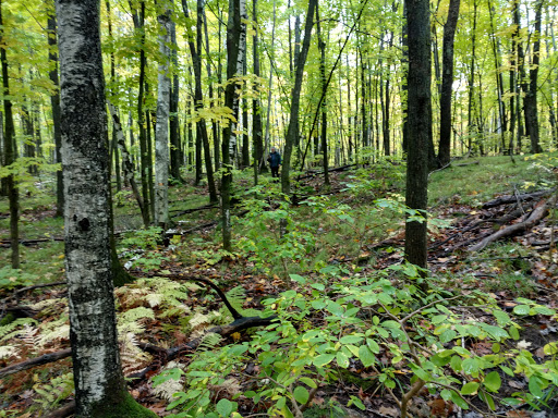 Teuton Trail System - Thumbnail