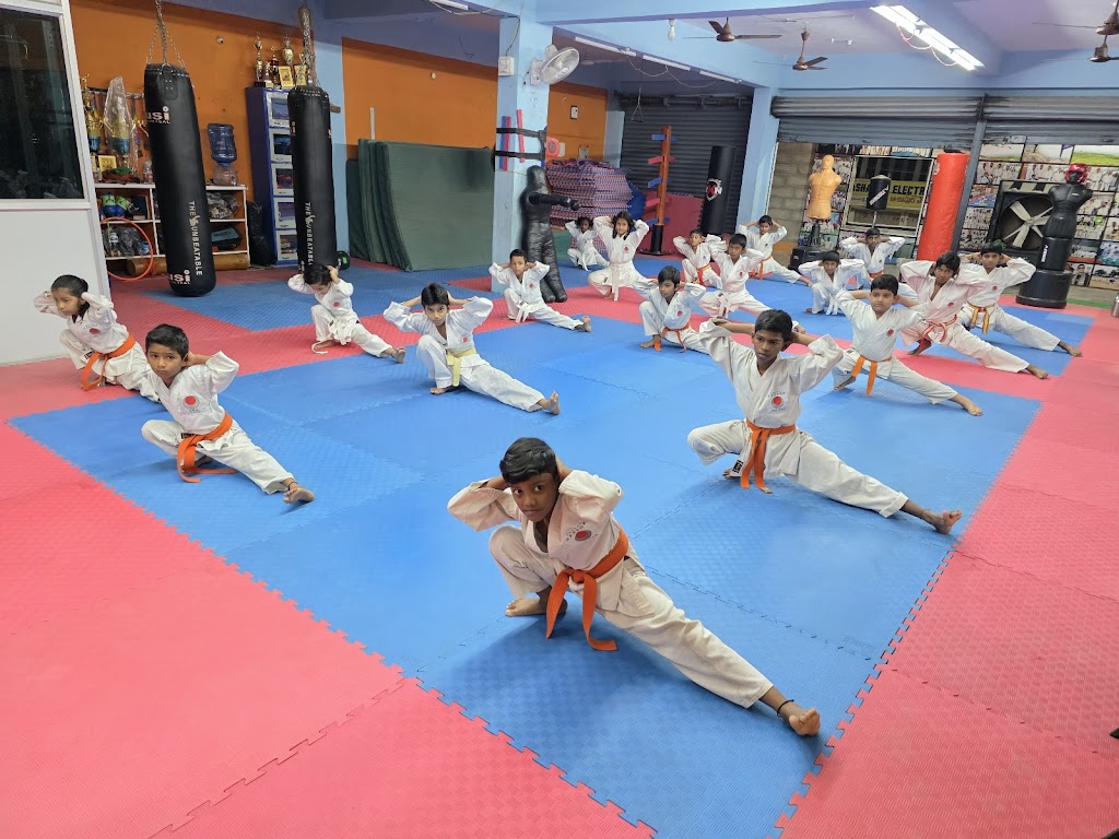 Ss Karate Gymnastics Boxing Skating Archery Fitness Club Self Defence Taekwondo And Mixed Martial Arts Academy