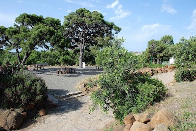 Photos of El Parque de San Isidro (Los Pedregales)