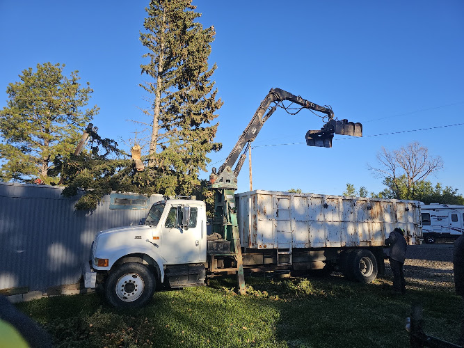 Hartley Tree Care