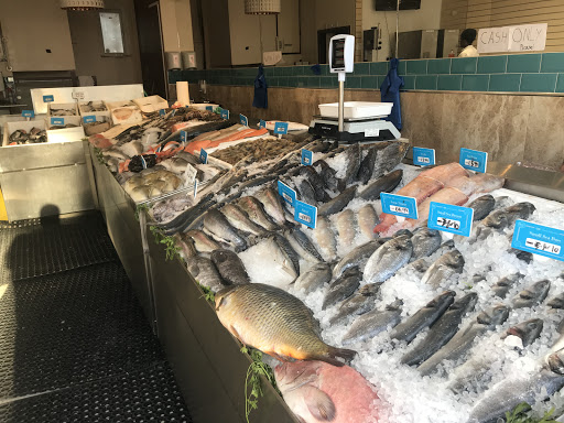 Ocean Collection - Visual