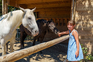 Photo n°18 de Restaurant Sous les Platanes à Lagnes à Lagnes (Diner)