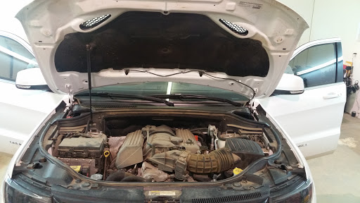 Bluesteam Auto Solution - Visual