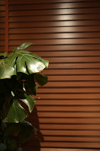 Gallery image 9