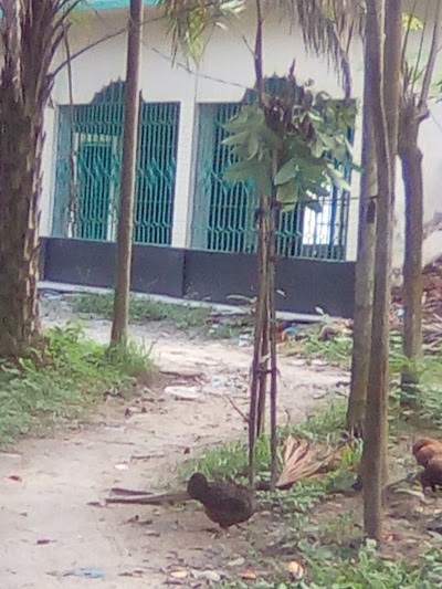 Photos of Gouripur Central Mosque