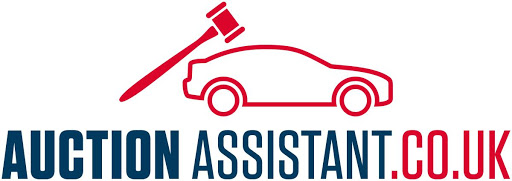 Auction Assistant - Visual