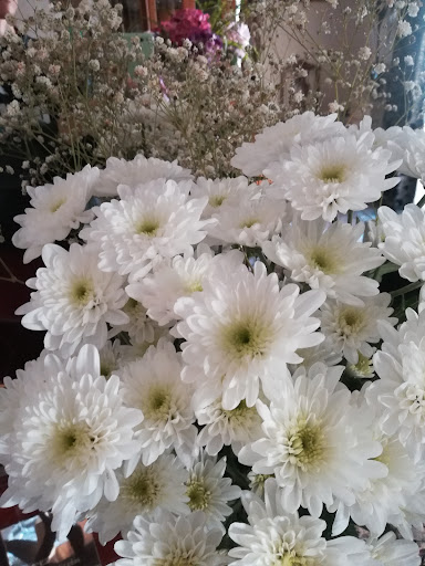 FLOWERING ????????????????????????????????????í???? - Visual