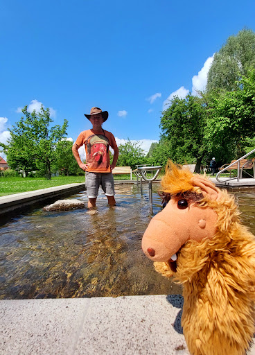 Luitpoldaue (Kneippbecken) - Thumbnail