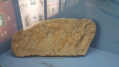 Photos of Durban Natural Science Museum