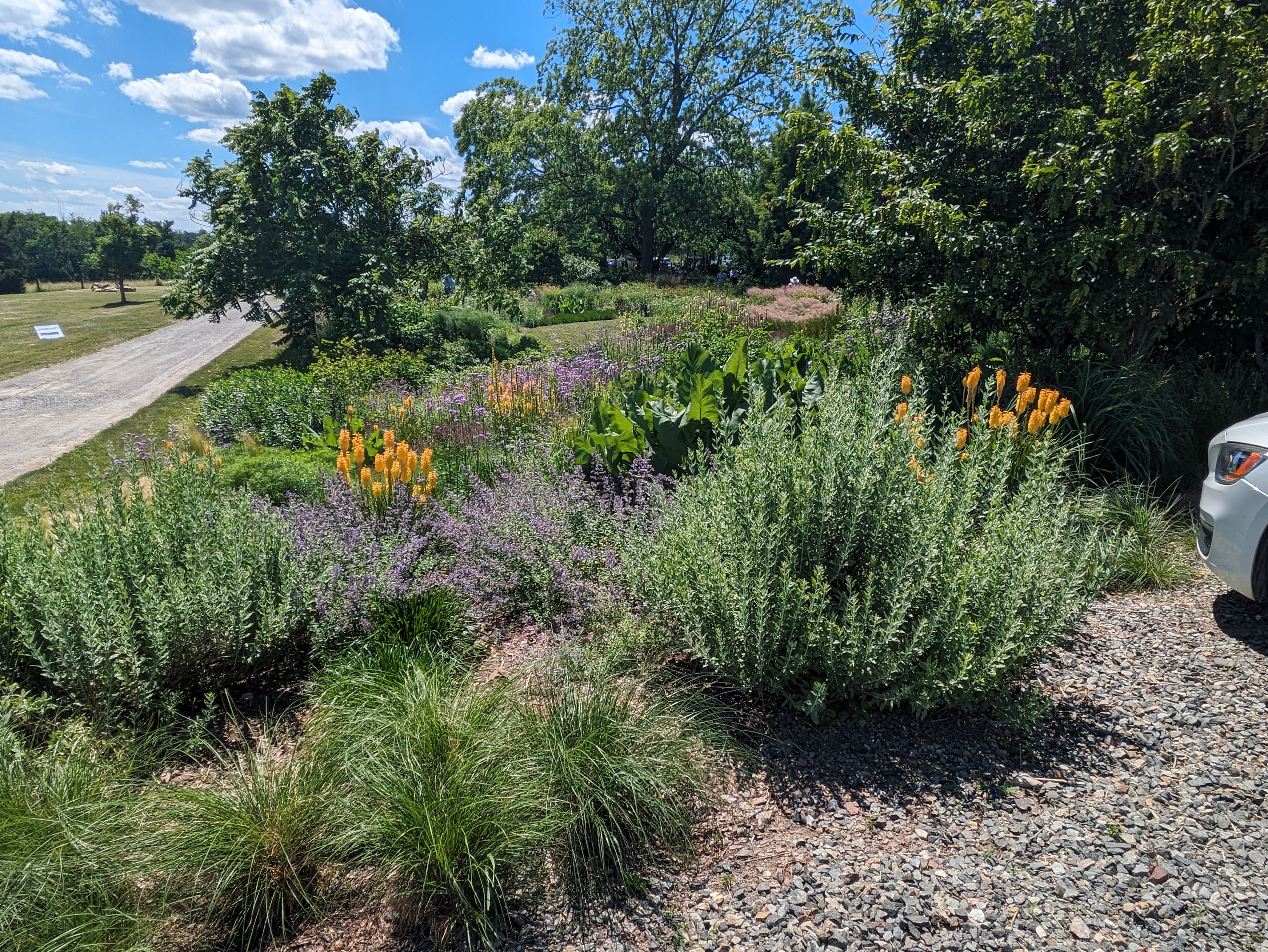 Donald Pell Gardens