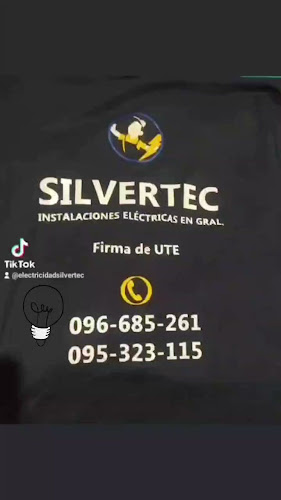 https://silvertecuy.com/