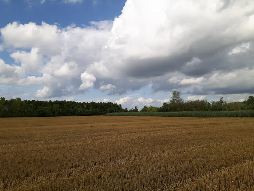 Borgharen - Visual