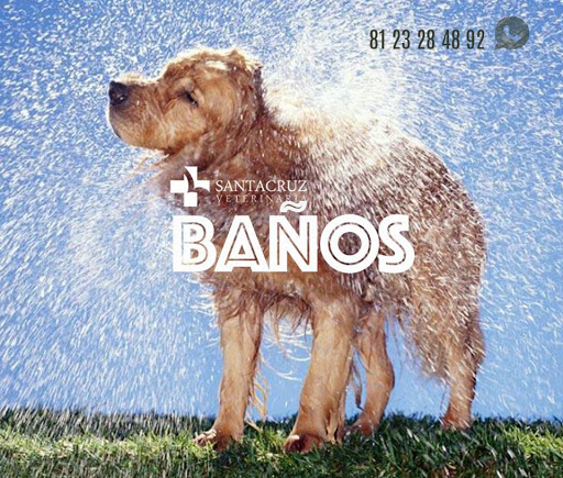 SANTACRUZ VETERINARIA