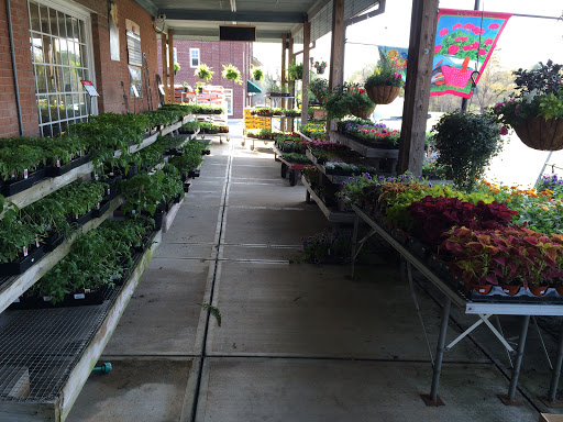 Locust Ace Hardware - Thumbnail