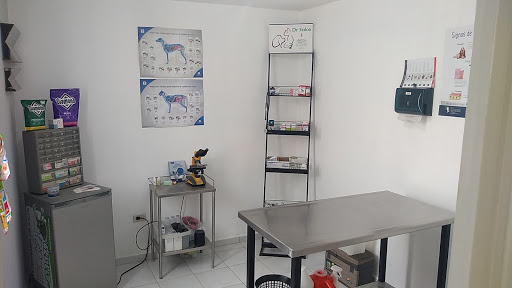 Veterinaria Dr. Salce - Thumbnail